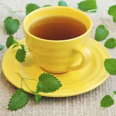 chá de erva-cidreira emagrece
